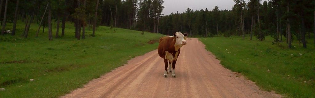 Spearfish, South Dakota & the 2014 Gold Rush Gravel Grinder