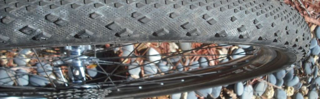 Schwalbe Furious Fred TLR 29er Tire Review