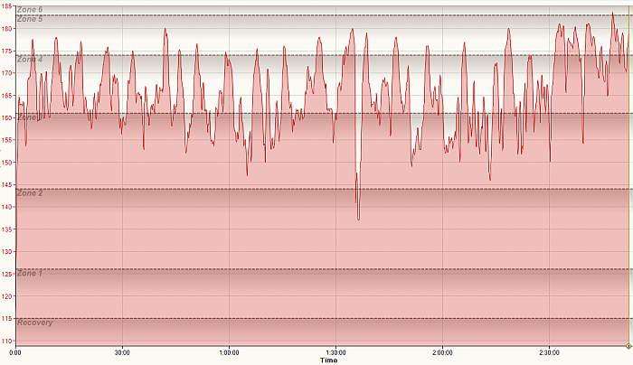 JOM's Heart Rate Data... ouch.