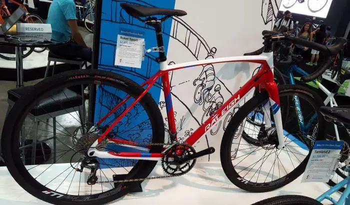 RaleighRoker2015-1