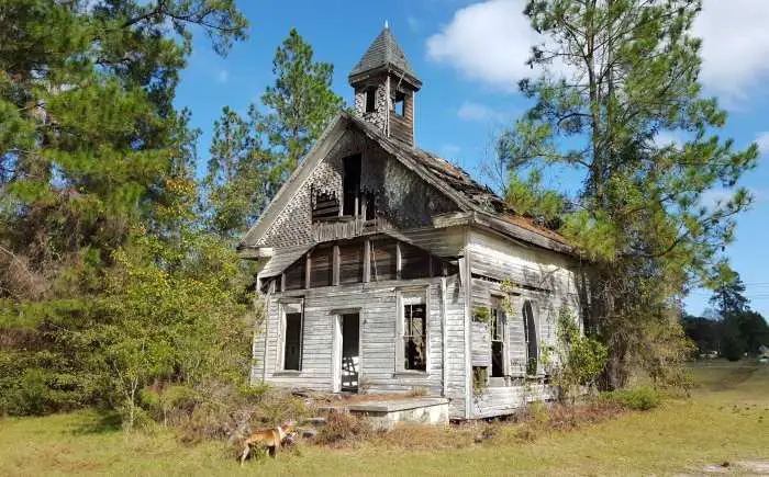 Abandoned church as dog relieves himself.