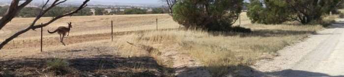 2016 – A New Year – A New Continent – Gravel Cycling in Australia