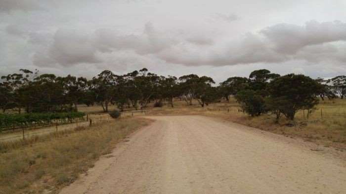 ClareValley2016-3