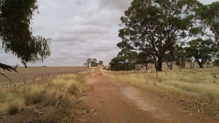 ClareValley2016-4