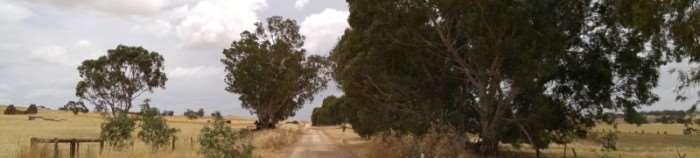 Tuesday Morning Ride: A Poem by Steve F, The Lonely Aussie Gravel Guy
