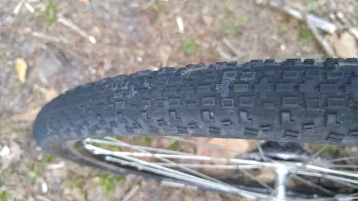 maxxis rambler 29
