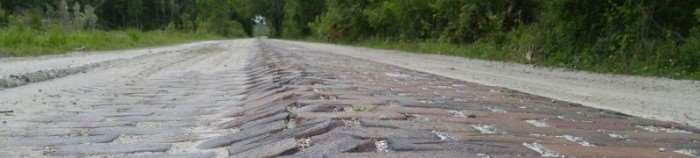 VIDEO: Dorothy? Not the Yellow Brick Road Ride
