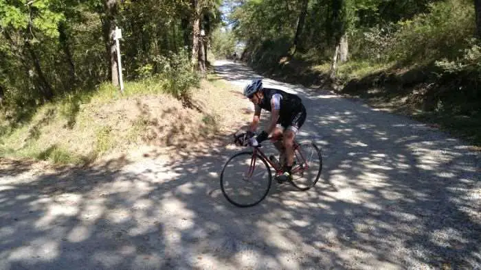 K-Dogg at the bottom of our accommodation's gravel driveway.