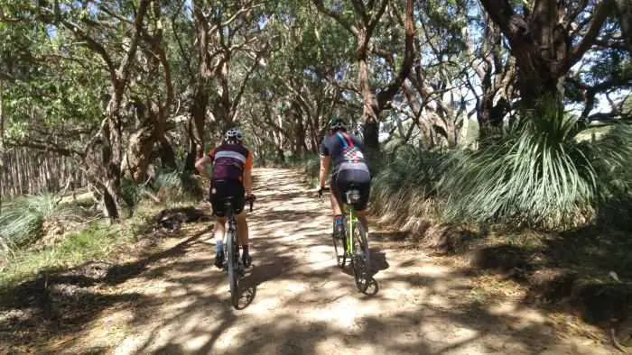 So many of the roads were line with tree cover.