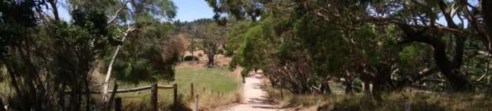 Australian Gravel: Sellicks Exploration Ride with the Gravelaide Crew