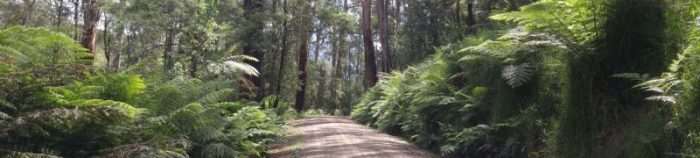 VIDEO: Australian Gravel – The Ol’ Dirty Ride – Warburton, Victoria