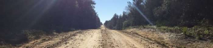 VIDEO: 2017 Big Scrub Gravel Buzz! – Ocala, Florida