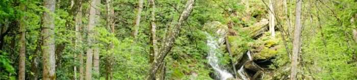 Race Report: 2017 Bootlegger 100, Lenoir, North Carolina – by Libby Skinner
