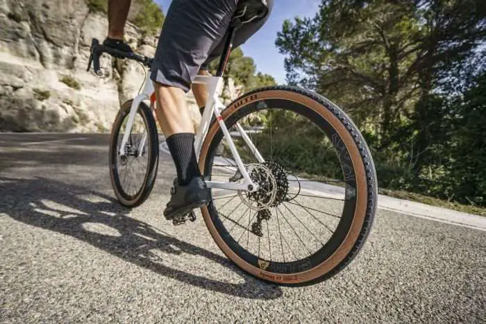 wtb riddler 700 x 37