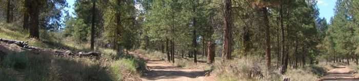 Featured Event: Skull 120 / 60 Gravel Grind Race – Burns, Oregon