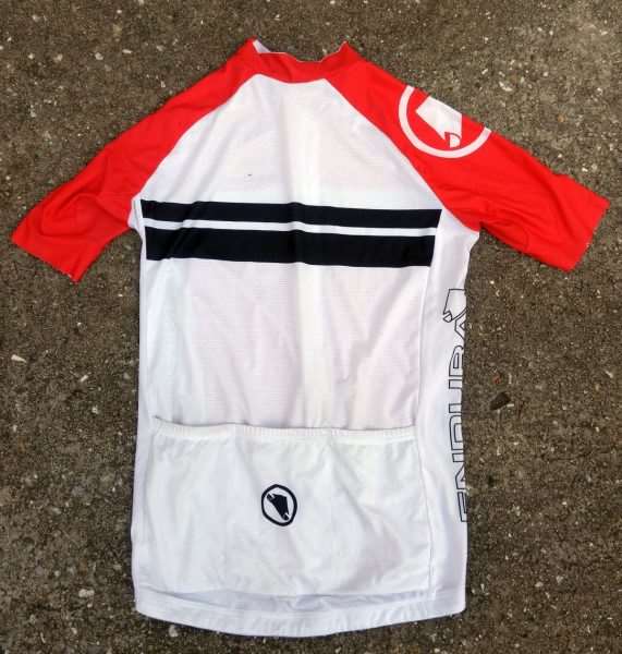 endura fs260 pro sl bib shorts and jersey