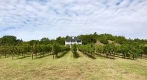 roadrunner rocks report 4r winery