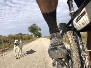 roadrunner rocks report 4r winery spinistry