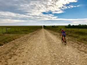 roadrunner rocks report 4r winery spinistry