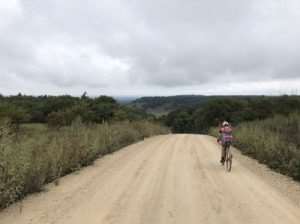 roadrunner rocks report 4r winery spinistry