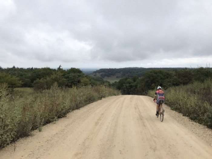 roadrunner rocks report 4r winery spinistry