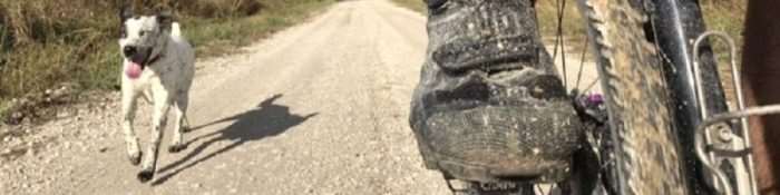 Ride Report: Roadrunner Rocks – Muenster, Texas by Adrienne Taren