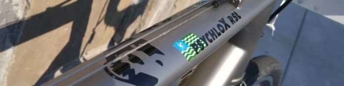 moots psychlox rsl review