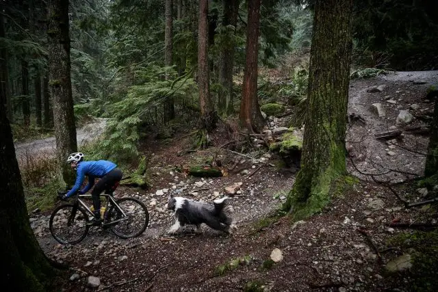 easton gravel shifting rings