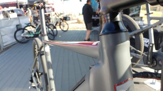 raleigh tamland ie review