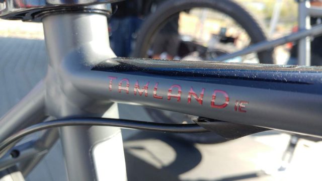 raleigh tamland ie review