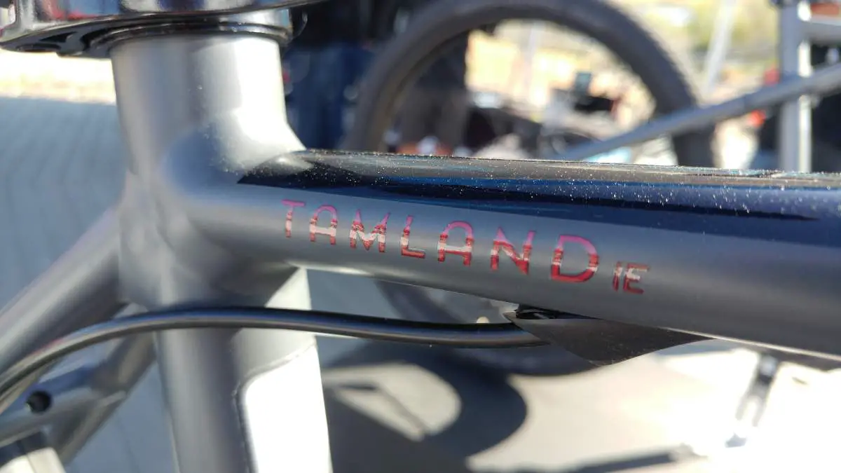 raleigh tamland ebike