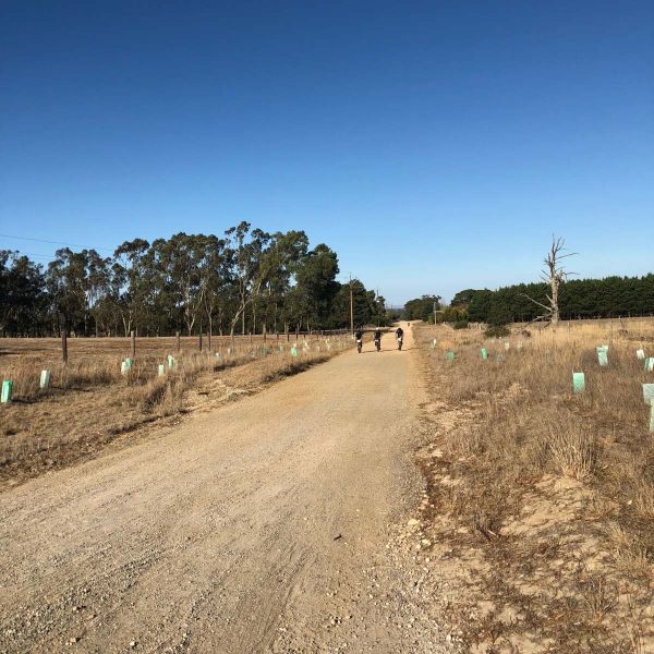 australian gravel cycling