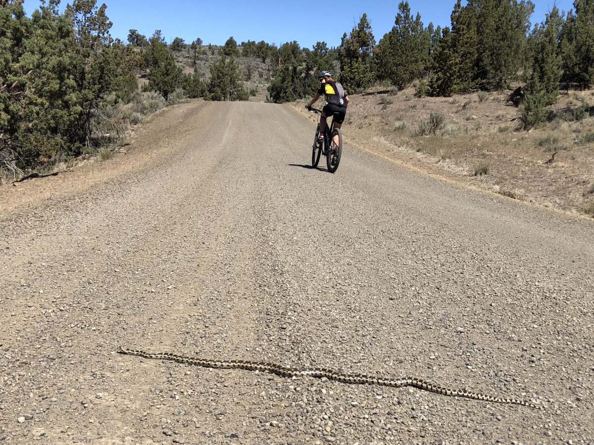 Photo Feature The Gravel Roads of Oregon, USA Gravel Cyclist The Gravel Cycling Experience