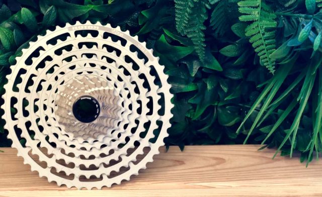 rotor 1x13 groupset