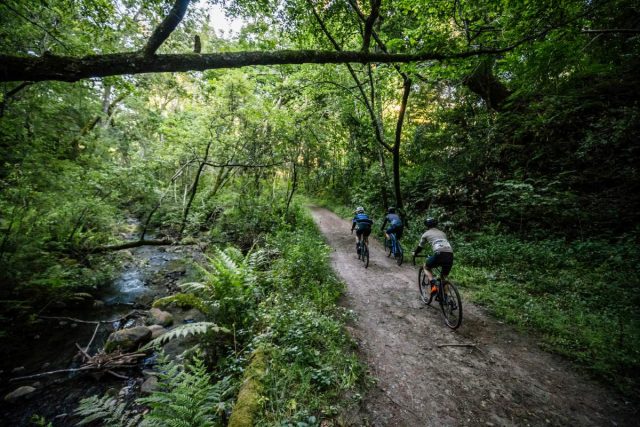 cannondale topstone gravel bike