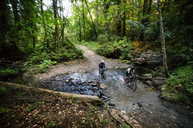 cannondale topstone gravel bike
