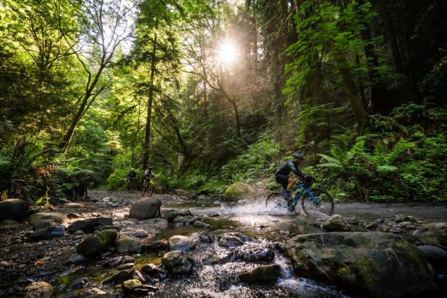 cannondale topstone gravel bike