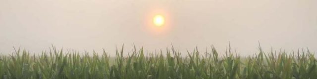 2018 day across minnesota