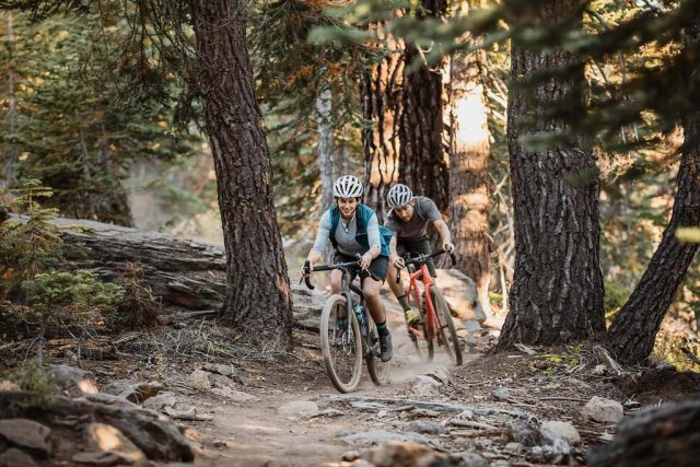 wtb sendero 650b tire