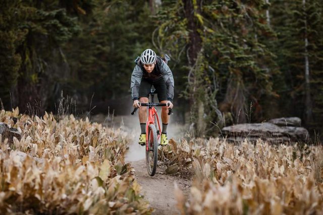 wtb sendero 650b tire