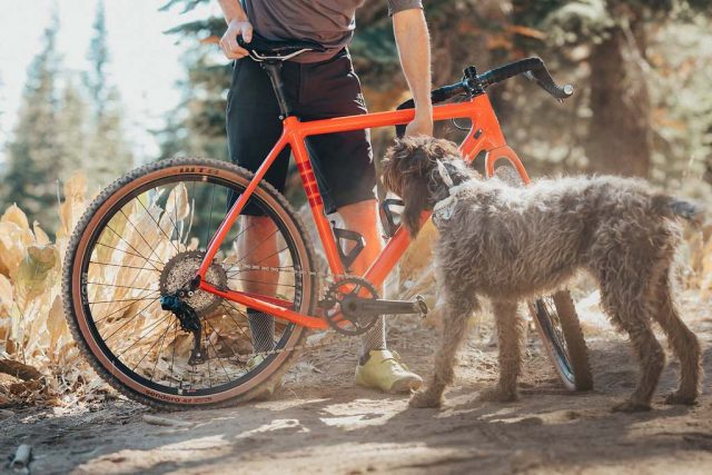 wtb sendero 650b tire