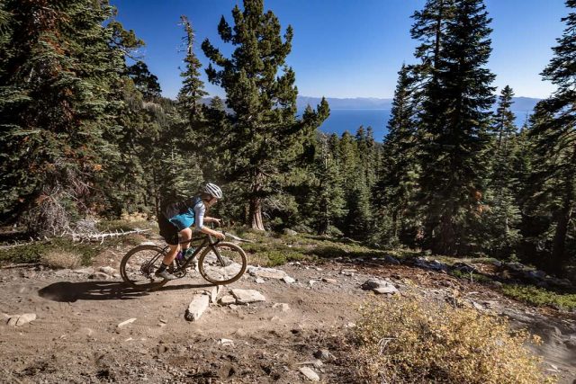 wtb sendero 650b tire