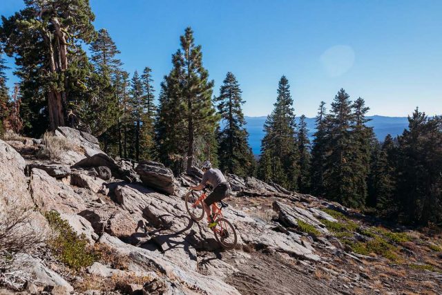 wtb sendero 650b tire