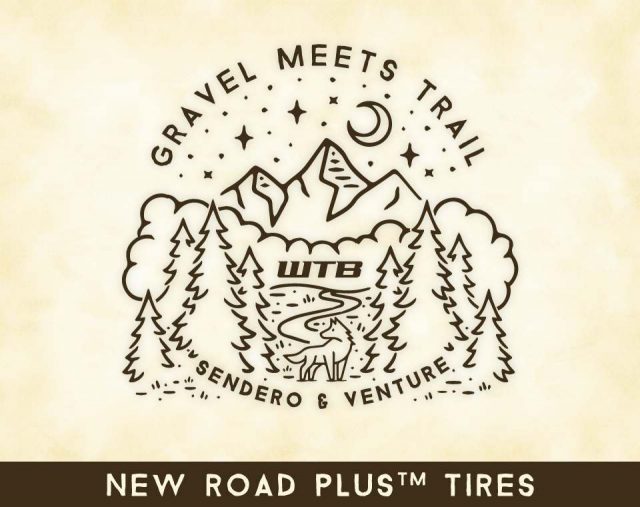 wtb venture 650b tire