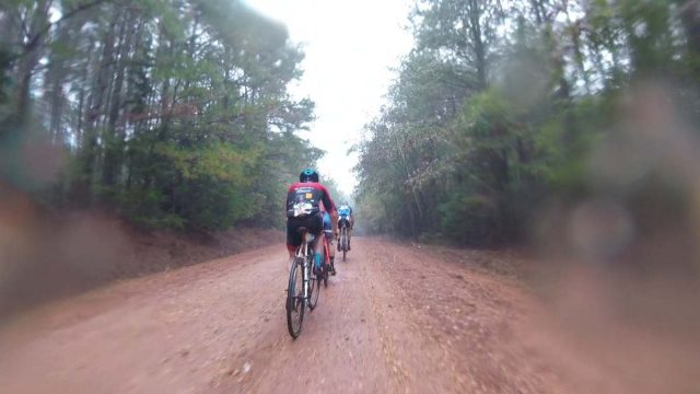 standard deluxe dirt century report 2018