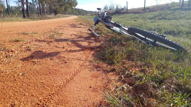 blackwater river state forest gravel ride