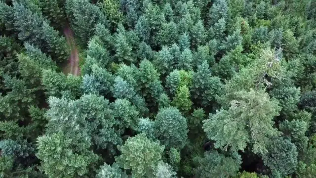 takelma gravel grinder