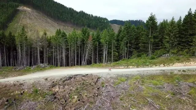 takelma gravel grinder