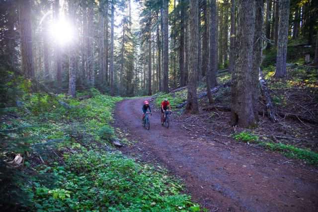 oregon trail gravel grinder