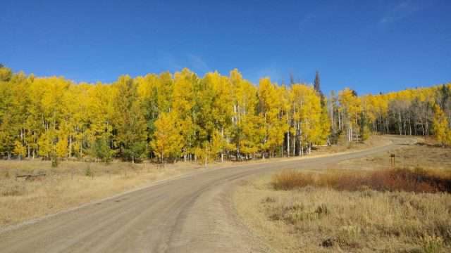 steamboat gravel parity